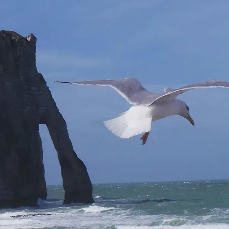 Σπίτι διακοπών Maison Cosy Vue A 50m De La *