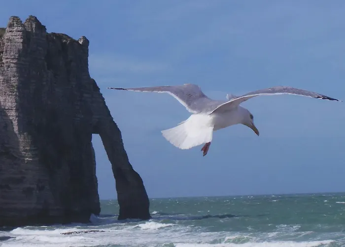 Hébergement de vacances Maison Cosy Vue à 50m De La *